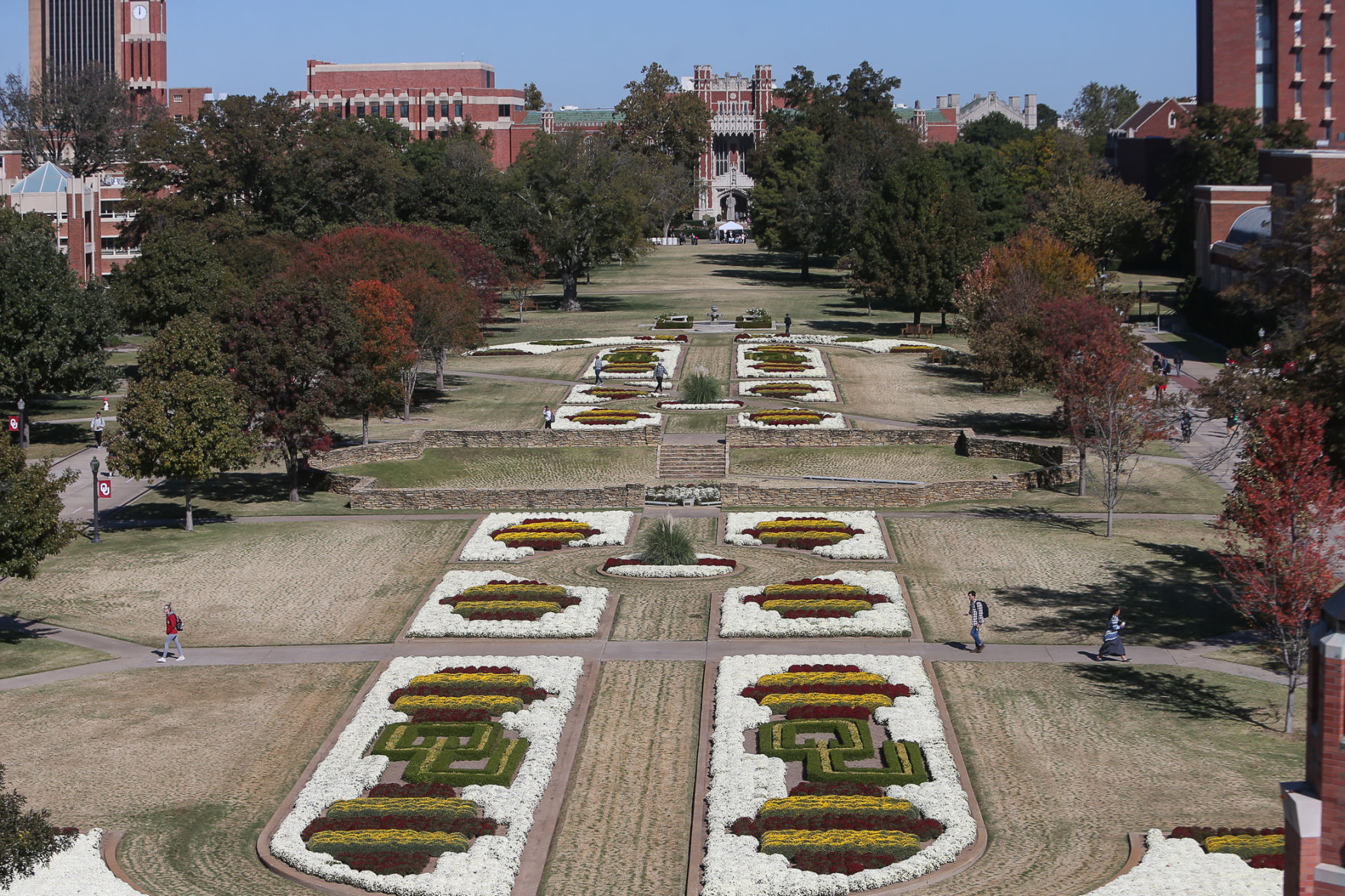 South Oval Mums